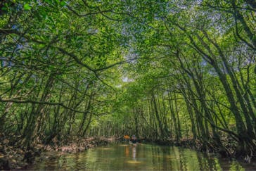 西表島 ADVENTURE PiPi（アドベンチャーピピ）に投稿された画像（2021/4/22）