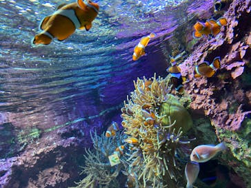 サンシャイン水族館に投稿された画像（2021/4/22）