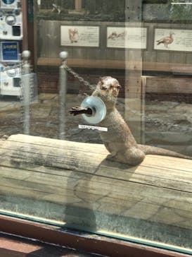 横浜・八景島シーパラダイスに投稿された画像（2021/4/22）