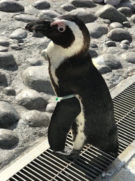 横浜・八景島シーパラダイスに投稿された画像（2021/4/22）