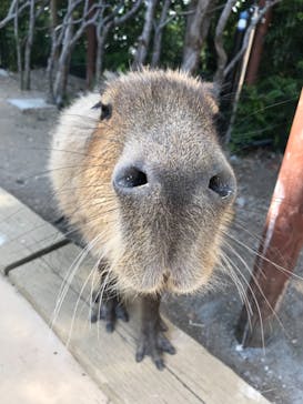 横浜・八景島シーパラダイスに投稿された画像（2021/4/23）