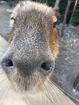 横浜・八景島シーパラダイスに投稿された画像（2021/4/23）