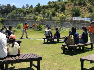 ネオパークオキナワに投稿された画像（2021/4/23）