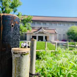 特別展「国宝　鳥獣戯画のすべて」に投稿された画像（2021/4/23）