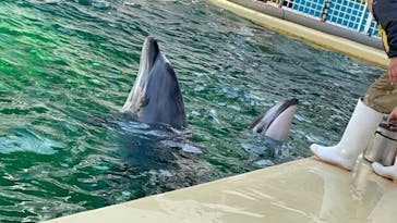 伊豆・三津シーパラダイスに投稿された画像（2021/4/23）