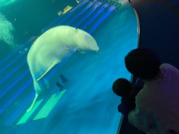 島根県立 しまね海洋館に投稿された画像（2021/4/23）