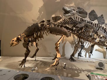 国立科学博物館に投稿された画像（2021/4/23）