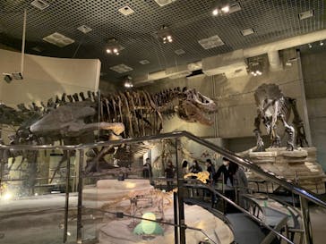 国立科学博物館に投稿された画像（2021/4/23）