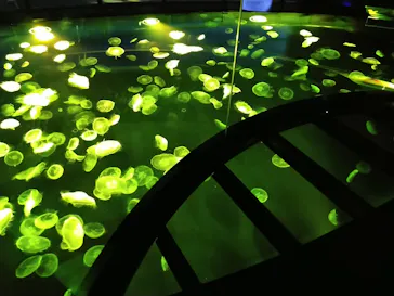 すみだ水族館に投稿された画像（2021/4/23）