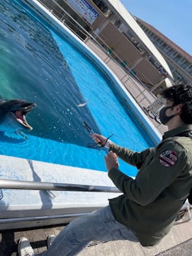 横浜・八景島シーパラダイスに投稿された画像（2021/4/23）