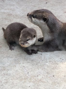 横浜・八景島シーパラダイスに投稿された画像（2021/4/23）
