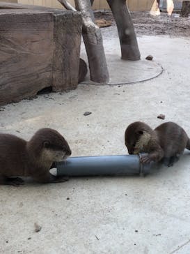 横浜・八景島シーパラダイスに投稿された画像（2021/4/23）