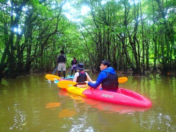 西表島 ADVENTURE PiPi（アドベンチャーピピ）に投稿された画像（2021/4/23）