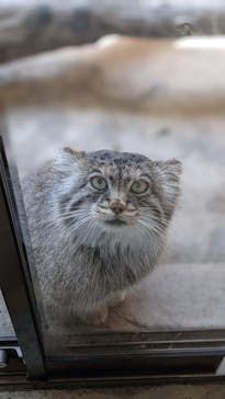 那須どうぶつ王国に投稿された画像（2021/4/24）