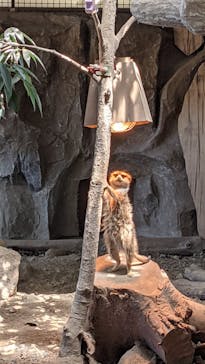 那須どうぶつ王国に投稿された画像（2021/4/24）