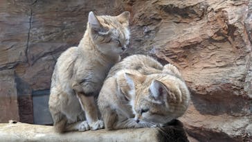 那須どうぶつ王国に投稿された画像（2021/4/24）