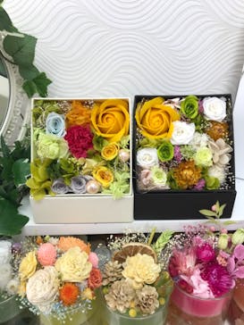 ずこうしつ〜sugamo〜に投稿された画像（2021/4/24）