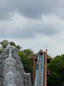 日本モンキーパークに投稿された画像（2021/4/24）