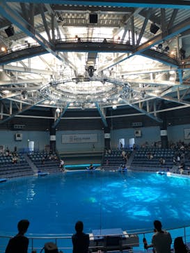 マクセル アクアパーク品川に投稿された画像（2021/4/24）