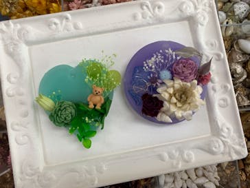 ずこうしつ〜sugamo〜に投稿された画像（2021/4/24）