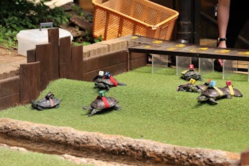 体感型動物園iZooに投稿された画像（2021/4/24）