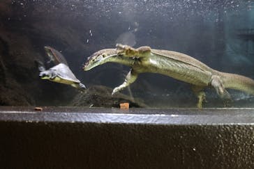 体感型動物園iZooに投稿された画像（2021/4/24）