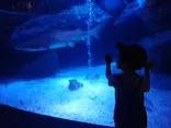すみだ水族館に投稿された画像（2021/4/24）