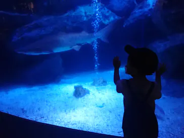 すみだ水族館に投稿された画像（2021/4/24）