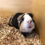 Moff アニマル カフェ イーアス 高尾店に投稿された画像（2021/4/24）