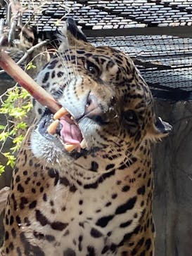 那須どうぶつ王国に投稿された画像（2021/4/24）