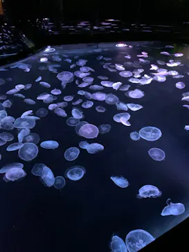 すみだ水族館に投稿された画像（2021/4/24）