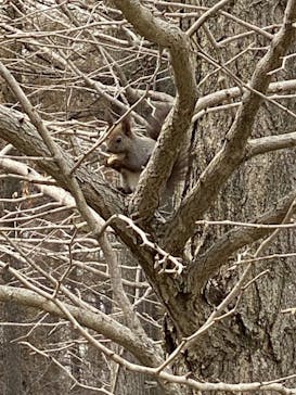 ノーザンホースパークに投稿された画像（2021/4/24）