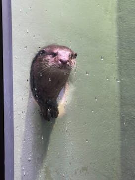 マクセル アクアパーク品川に投稿された画像（2021/4/24）