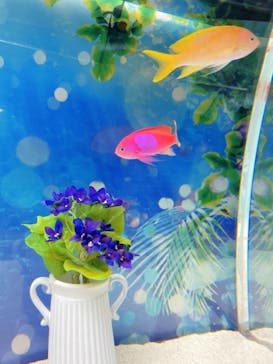 マクセル アクアパーク品川に投稿された画像（2021/4/24）