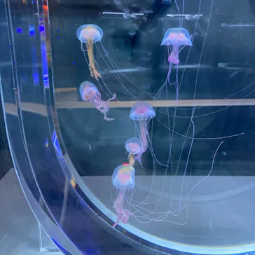 すみだ水族館に投稿された画像（2021/4/24）