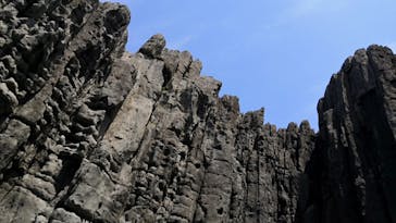 東尋坊観光遊覧船株式会社に投稿された画像（2021/4/24）