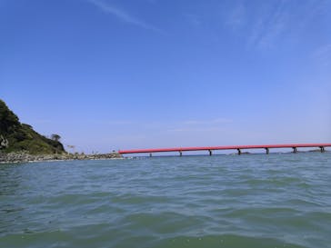 東尋坊観光遊覧船株式会社に投稿された画像（2021/4/24）