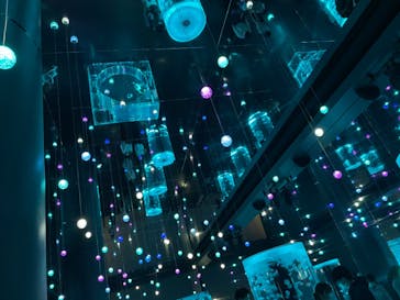 マクセル アクアパーク品川に投稿された画像（2021/4/24）