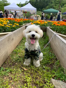 わんダフルネイチャーヴィレッジに投稿された画像（2021/4/24）