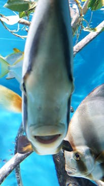 サンシャイン水族館に投稿された画像（2021/4/24）