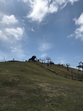 びわ湖バレイに投稿された画像（2021/4/24）