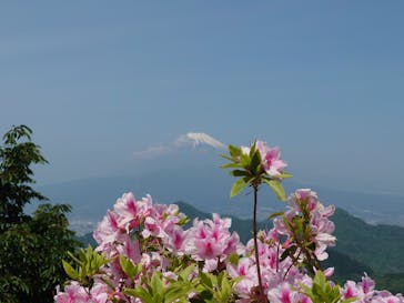 伊豆パノラマパークに投稿された画像（2021/4/24）