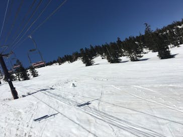 横手山・渋峠スキー場に投稿された画像（2021/4/24）