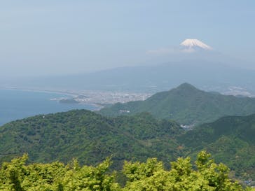 伊豆パノラマパークに投稿された画像（2021/4/24）