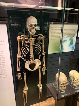 国立科学博物館に投稿された画像（2021/4/24）