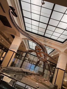 国立科学博物館に投稿された画像（2021/4/24）