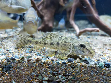 すみだ水族館に投稿された画像（2021/4/24）