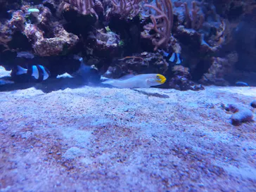 すみだ水族館に投稿された画像（2021/4/24）