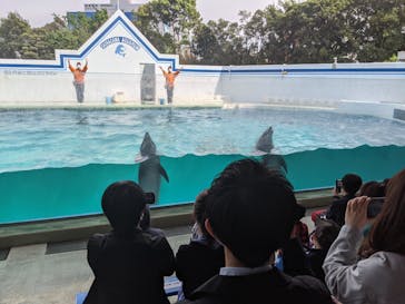 しながわ水族館に投稿された画像（2021/4/24）