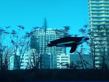 サンシャイン水族館に投稿された画像（2021/4/24）